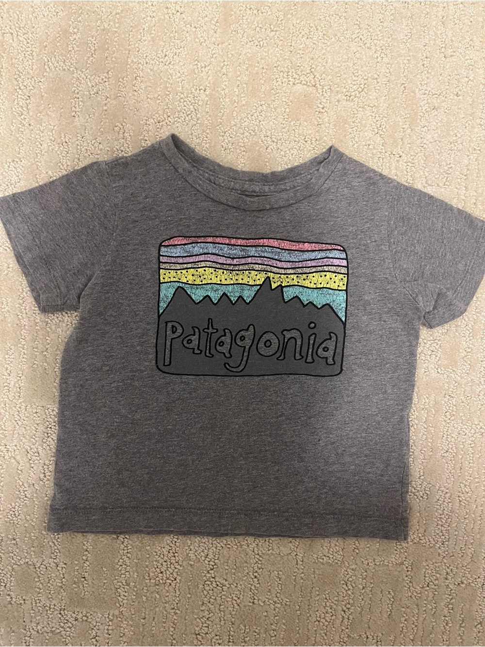 Patagonia Fitz Roy Skies Kids Graphic Logo Tee